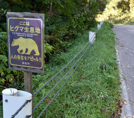 ヒグマ生息地