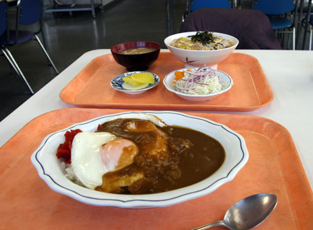 カレーと親子丼