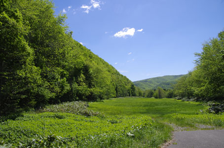 風景