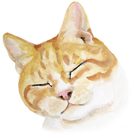 猫水彩画