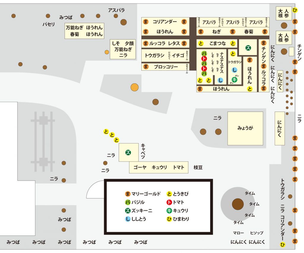 畑の全体図