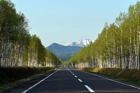 糠平国道