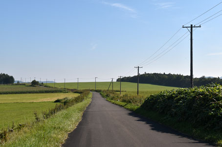 丸瀬布の大平高原牧場