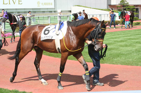 札幌競馬場