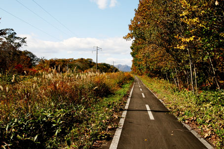 支笏湖への道