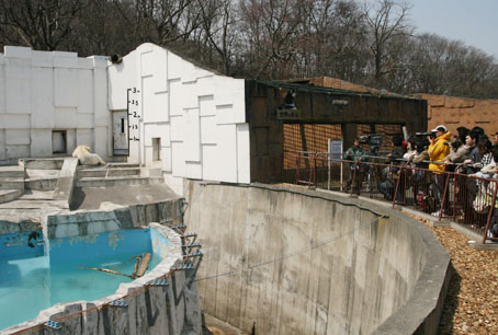 円山動物園・シロクマコーナー