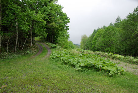 置戸の山奥