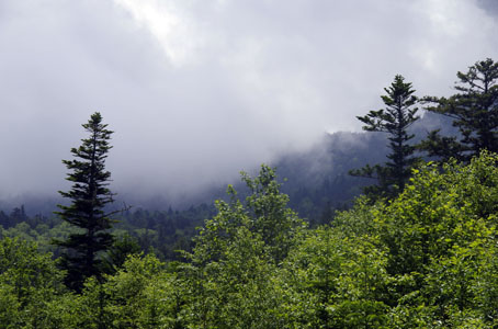 山の風景