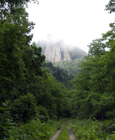 引き返した道からの風景