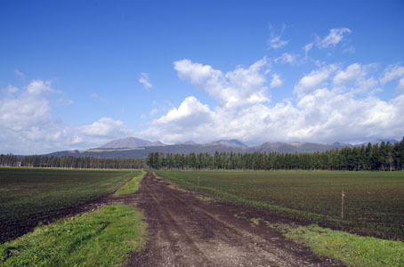 風景