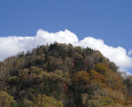 風景