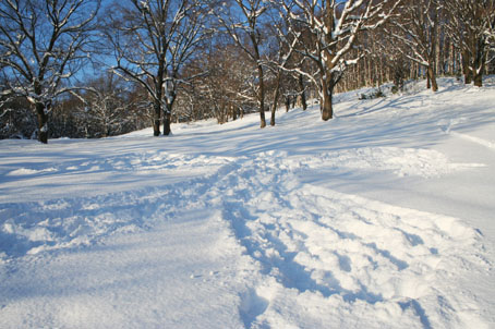 雪山